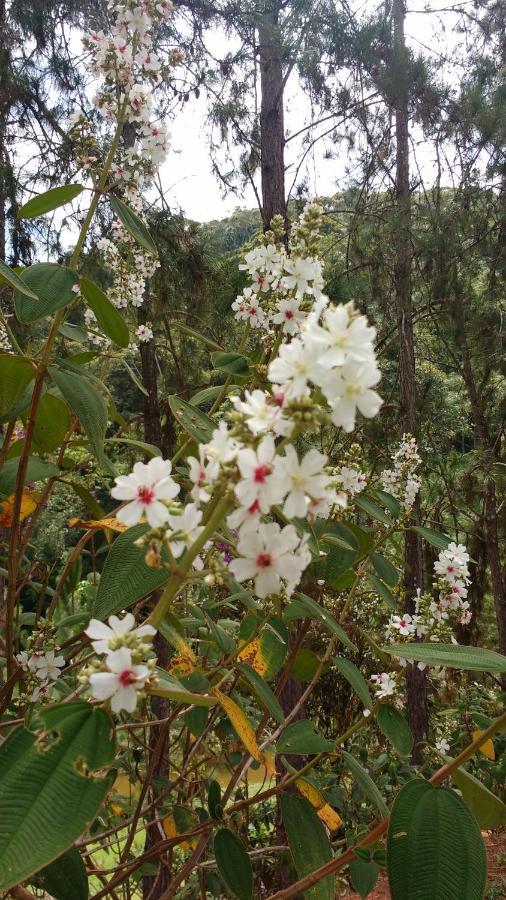 Sitio Cachoeirinha - Araguaia Marechal Floriano Ngoại thất bức ảnh